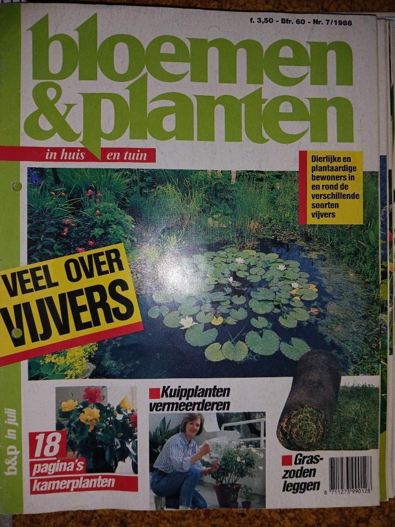 Bloemen & planten maandblad jaargangen '98 t/m '04, Boeken, Tijdschriften en Kranten, Verzenden, Gelezen, Wetenschap en Natuur