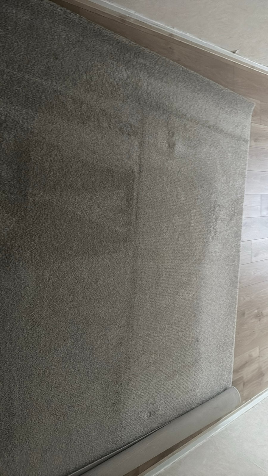 Groot beige vloerkleed, gebruikt onder bed, Ophalen, Gebruikt, Beige, 200 cm of meer