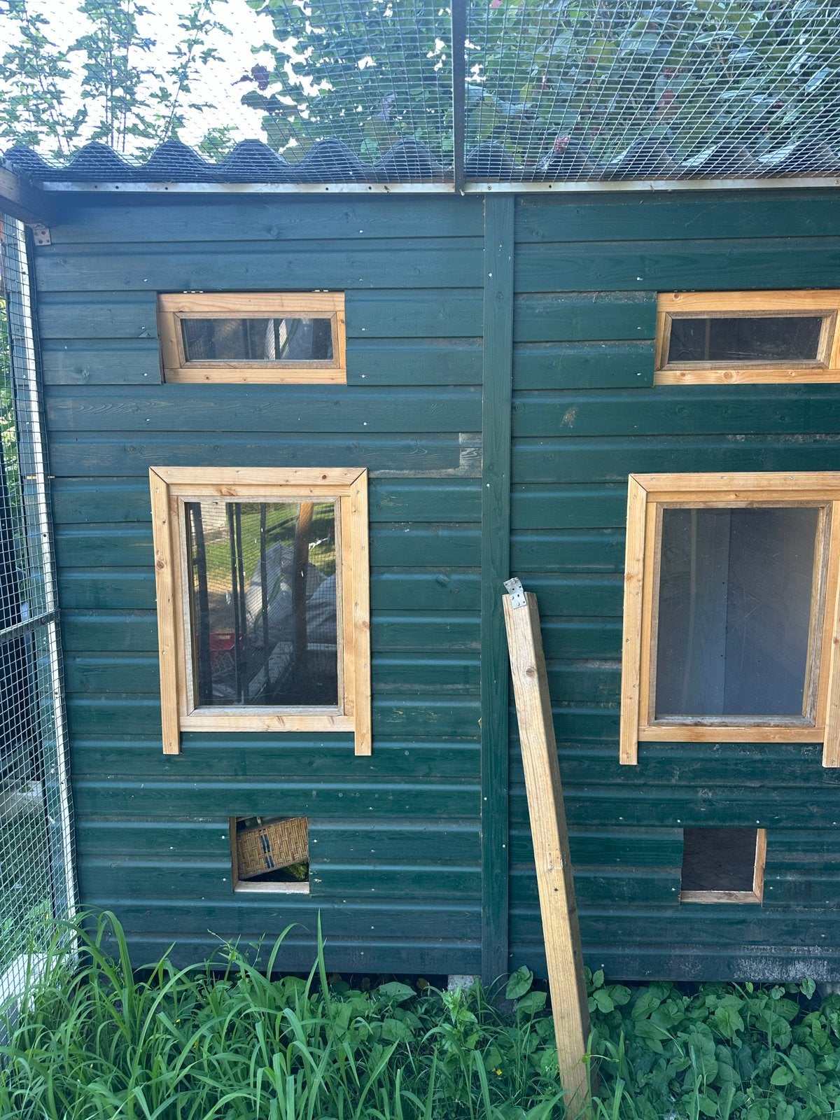 Nieuw duivenhok, Ophalen of Verzenden, Nieuw, Hout, Vogelkooi