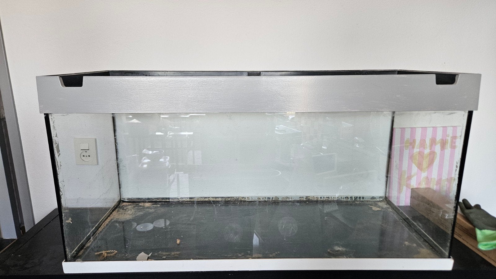 terrarium/hamsterkooi, Ophalen, Gebruikt, Terrarium of Paludarium