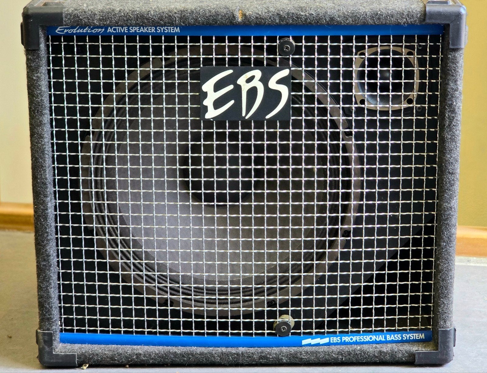 EBS AC 300 – Actieve 15" Basgitaar Cabinet, Muziek en Instrumenten, Ophalen, Gebruikt, 100 watt of meer, EBS