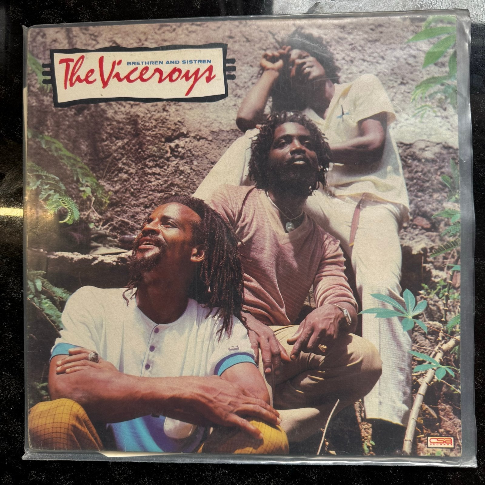 The Viceroys - Brethren And Sistren (Reggae LP), Ophalen of Verzenden, Reggae, Gebruikt, Album