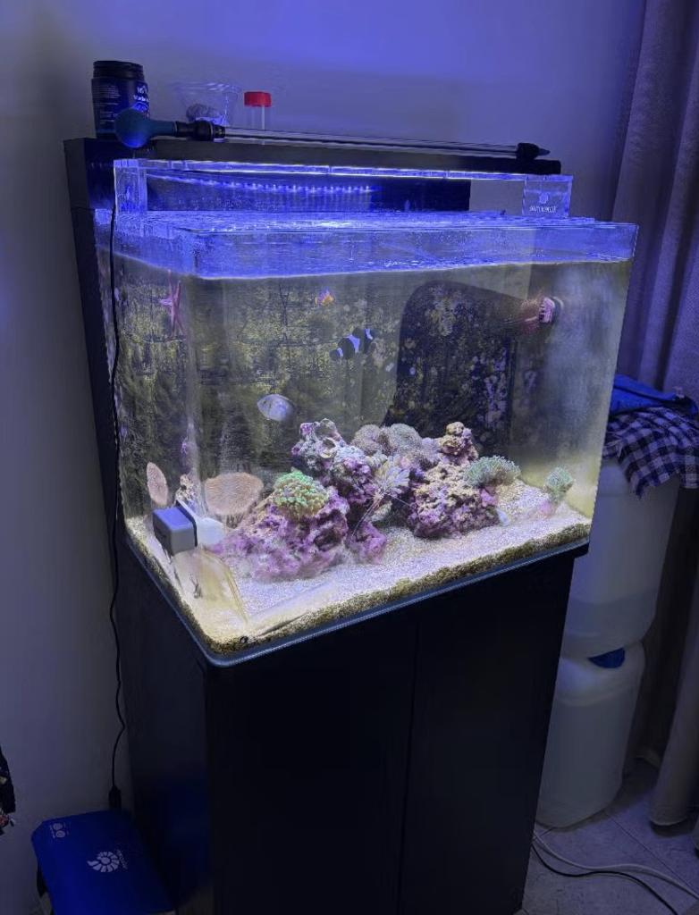 Blue marine reef 120 meubel zwart, Ophalen, Gebruikt, Aquariummeubel
