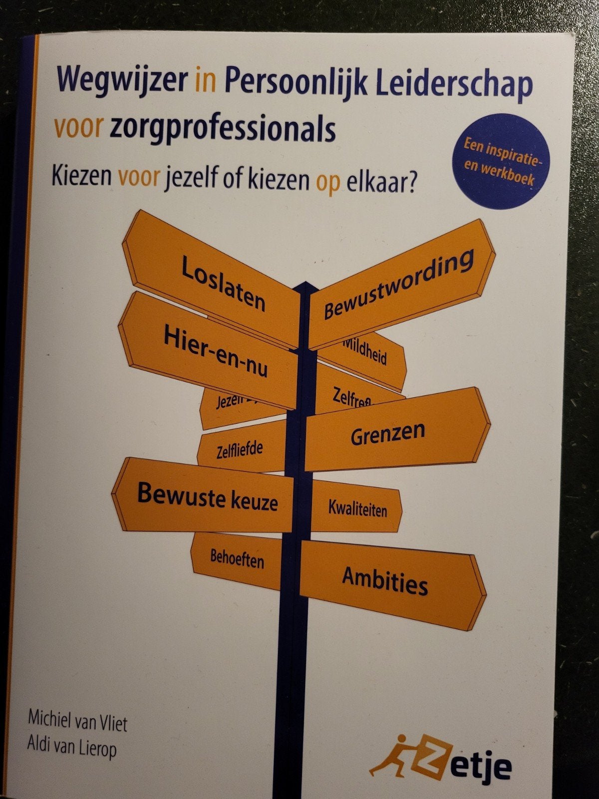 Wegwijzer in Persoonlijk leiderschap voor zorgprofessionals, Ophalen of Verzenden, Nieuw, Michiel van Vliet; Aldi van Lierop