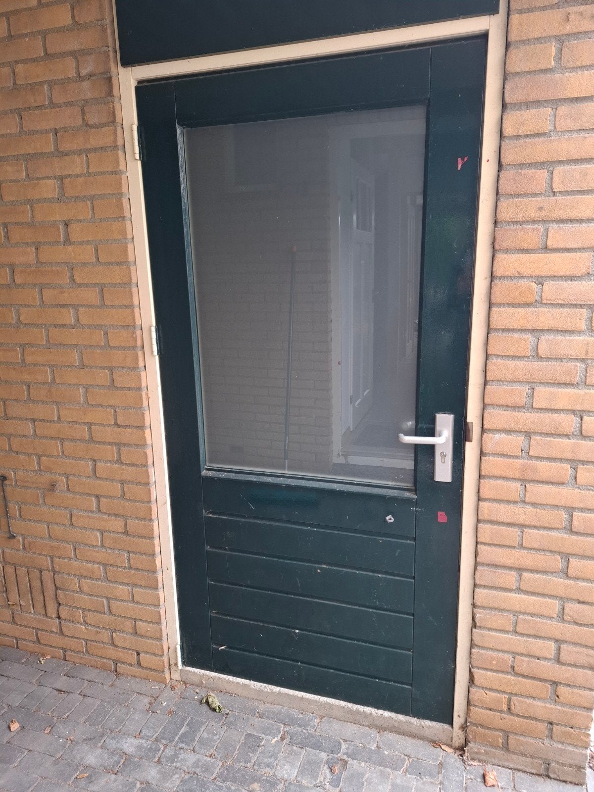 Buitendeur met glas en houten panelen, Ophalen, Gebruikt, Minder dan 200 cm, Glas