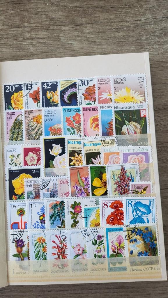 Bloemen, Postzegels en Munten, Postzegels | Volle albums en Verzamelingen, Ophalen of Verzenden, Buitenland