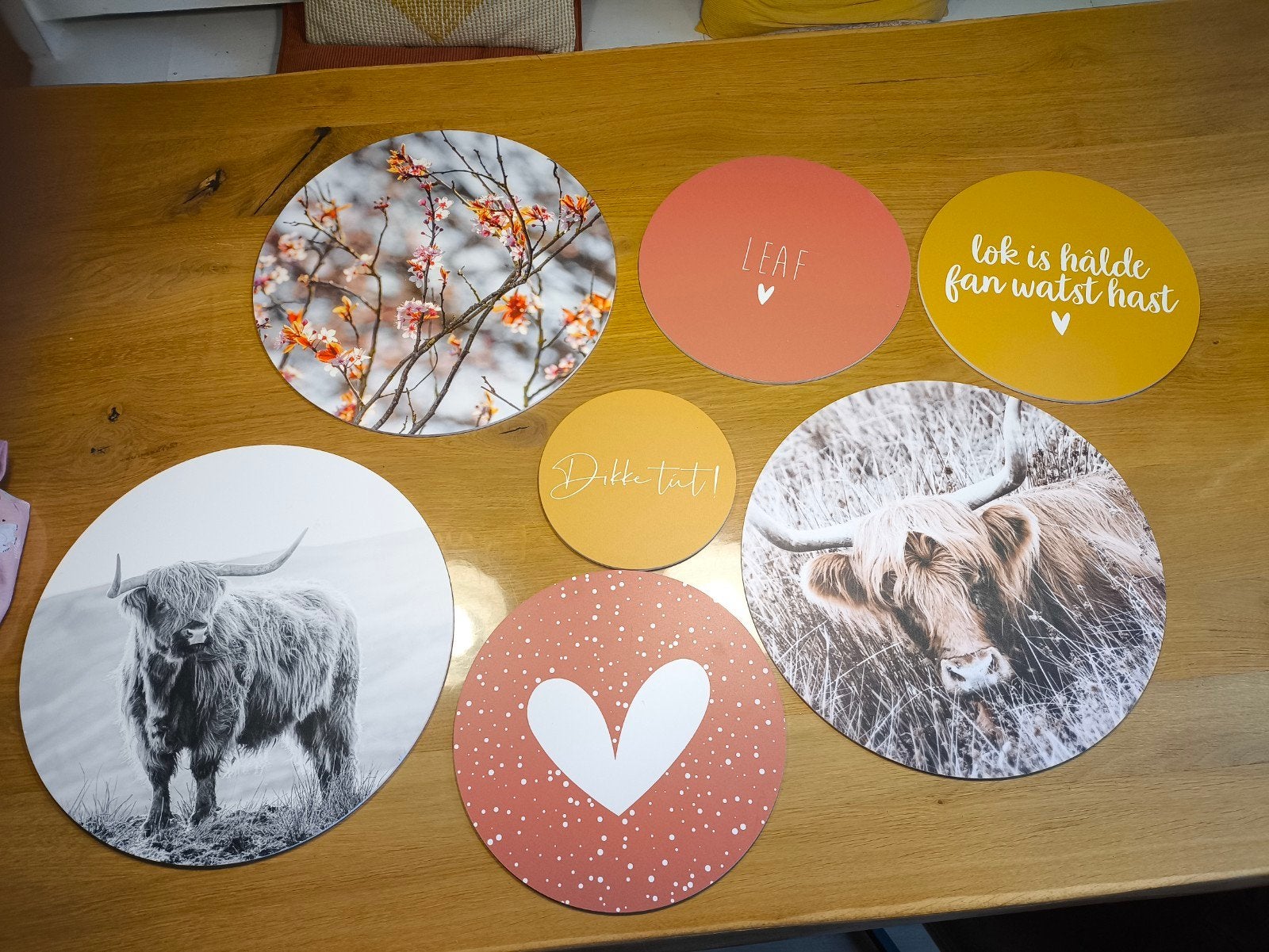 Set van 7 wandcirkels: Schotse Hooglanders, bloesem en tekst, Gebruikt, 40 cm, Meerkleurig, Ophalen of Verzenden