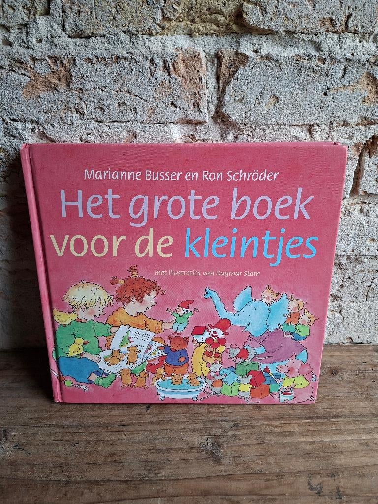 Het grote boek voor de kleintjes, Gelezen, 3 tot 4 jaar, Ophalen of Verzenden, Marianne Busser; Ron Schröder