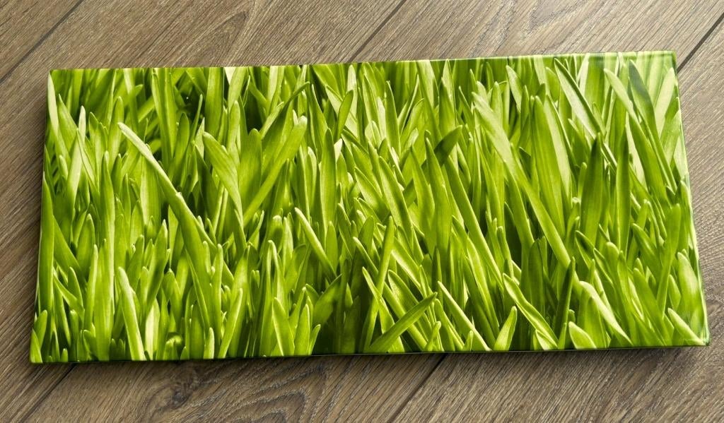 Schaal - Bord GRAS, Schaal, Ophalen of Verzenden, Zo goed als nieuw, Rechthoekig