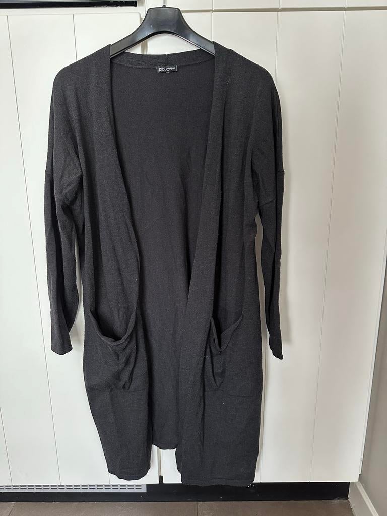 DIDI pretty different lang vest/cardigan, maat XL, Kleding | Dames, Ophalen of Verzenden, Gedragen, Maat 46/48 (XL) of groter