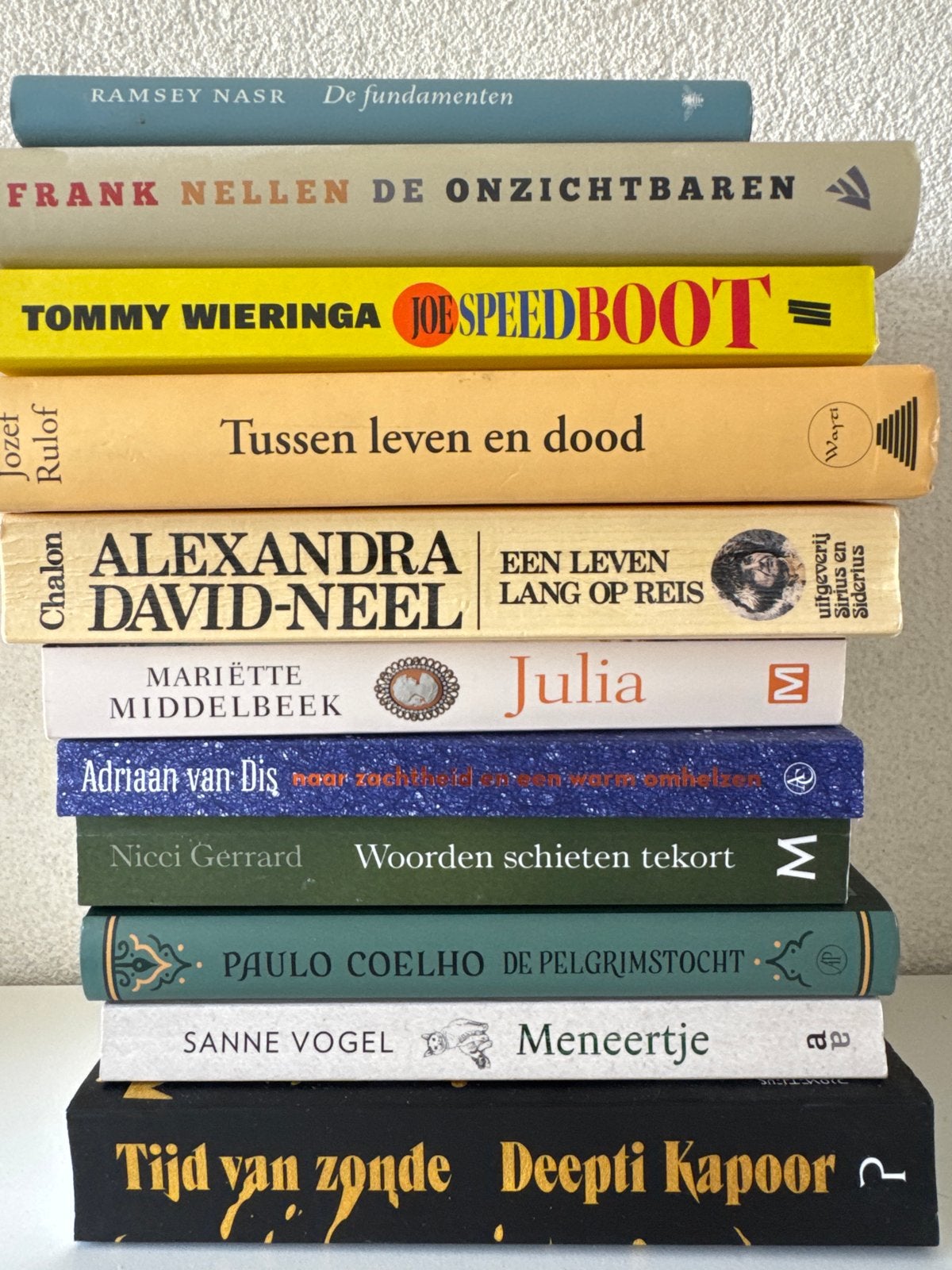 Gevarieerd boekenpakket: romans en literaire boeken, Boeken, Ophalen of Verzenden, Gelezen