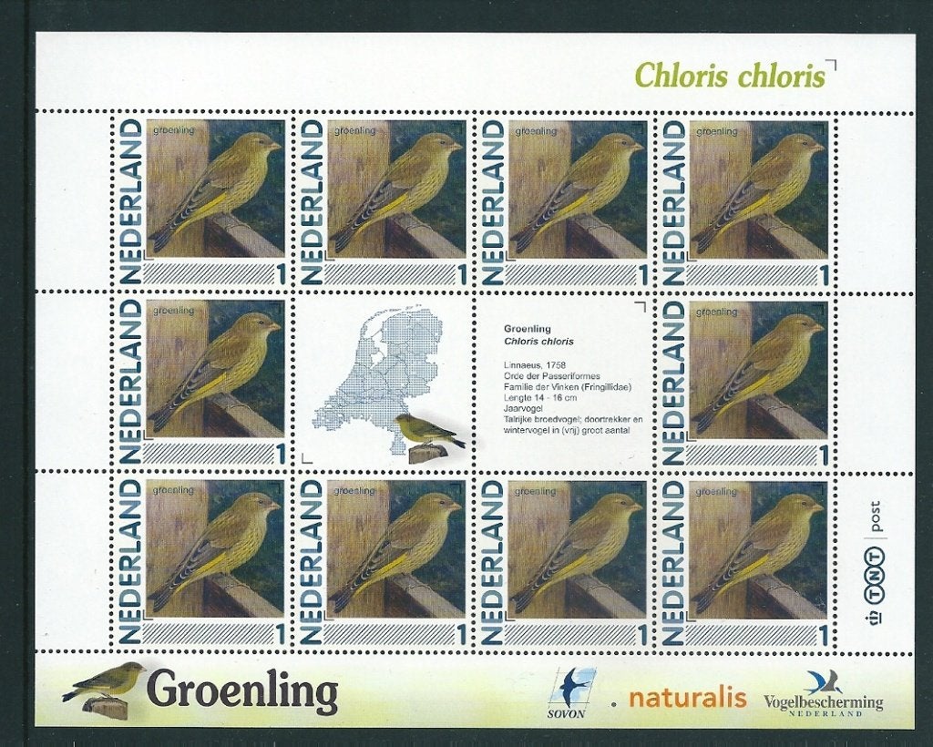 Vel persoonlijke zegels, Vogels Groenling postfris, Ophalen of Verzenden, Postfris