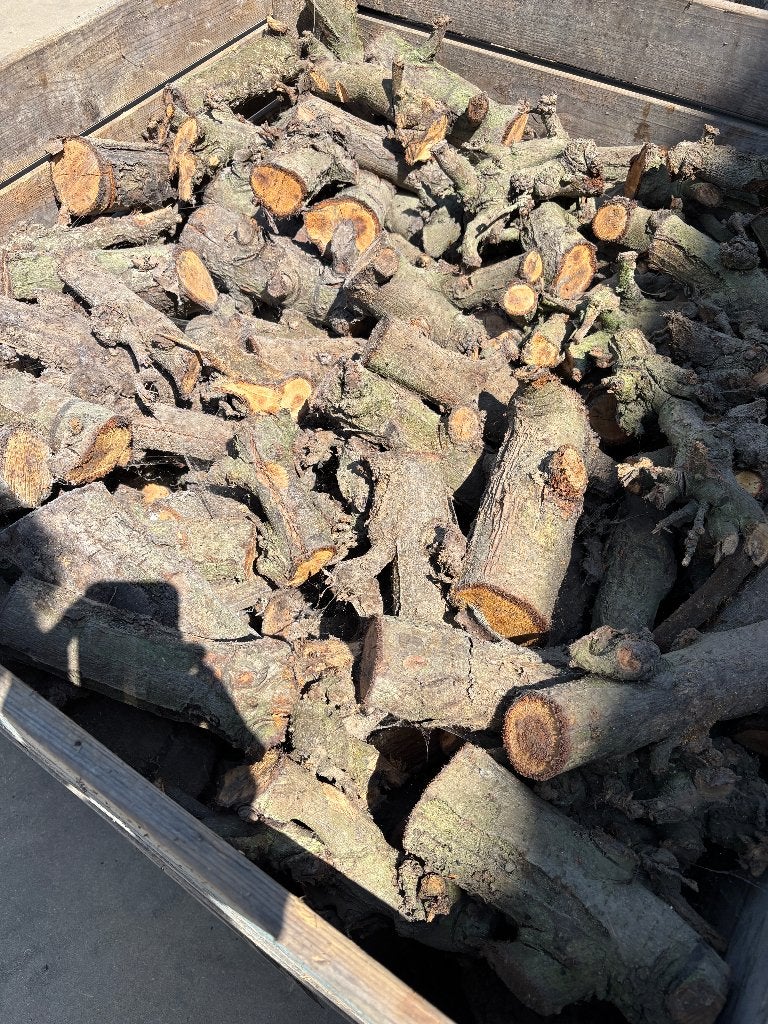 Stookhout, kachelhout, haardhout, brandhout appelstam DROOG, 3 tot 6 m³, Ophalen, Overige houtsoorten, Blokken