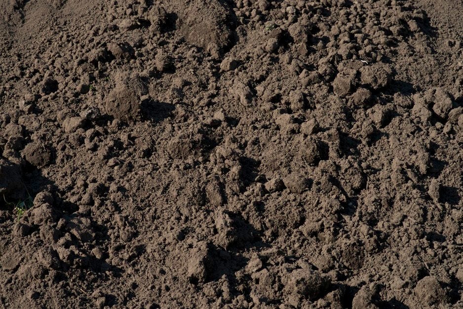 gratis schone zwarte grond, Ophalen of Verzenden, Nieuw, Ophoogzand