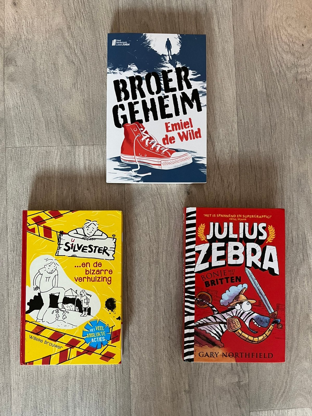 3 leuke jeugdboeken – Silvester, Julius Zebra en Broergeheim, Ophalen of Verzenden, Zo goed als nieuw, Verhalen