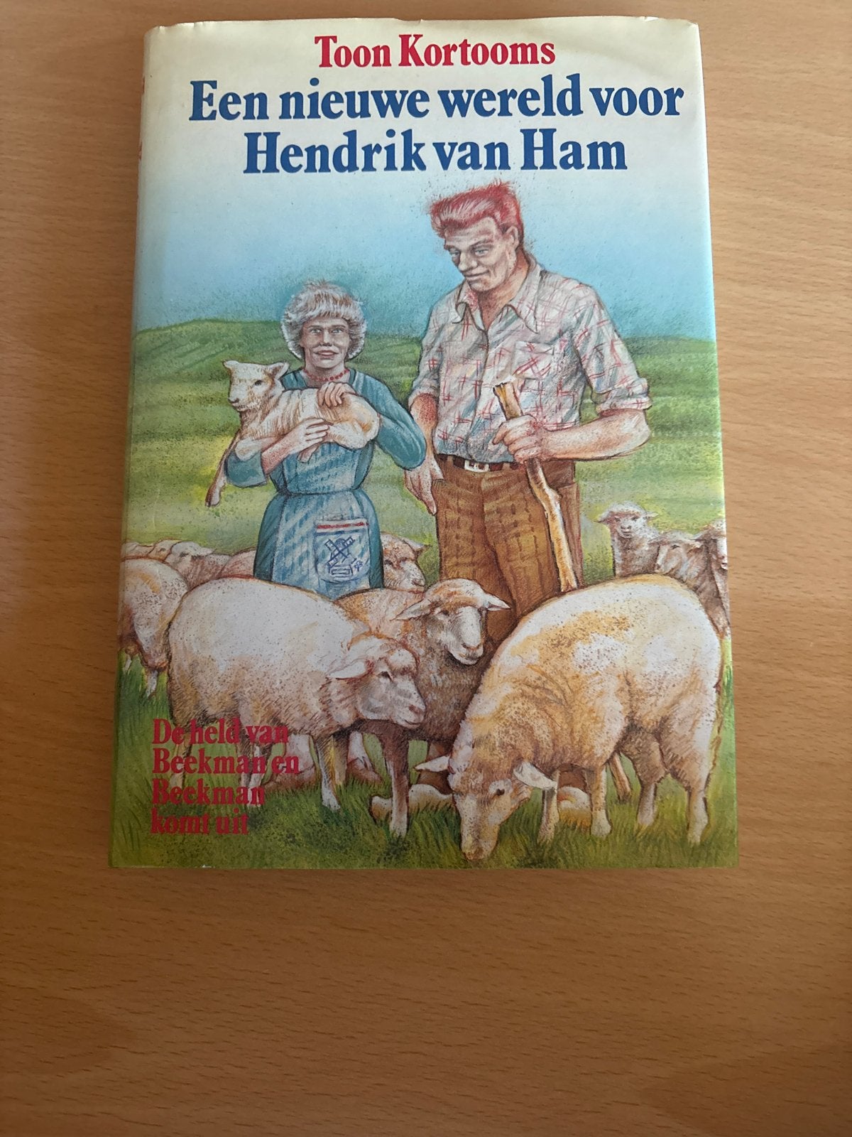 Een nieuwe wereld voor Hendrik van Ham - Toon Kootooms, Verzenden, Gelezen, Nederland