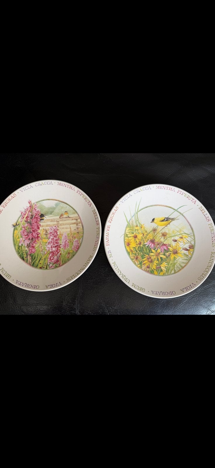 Marjolein Bastin Wild flowers 2 bordjes doordnede 21 cm, Ophalen of Verzenden, Zo goed als nieuw