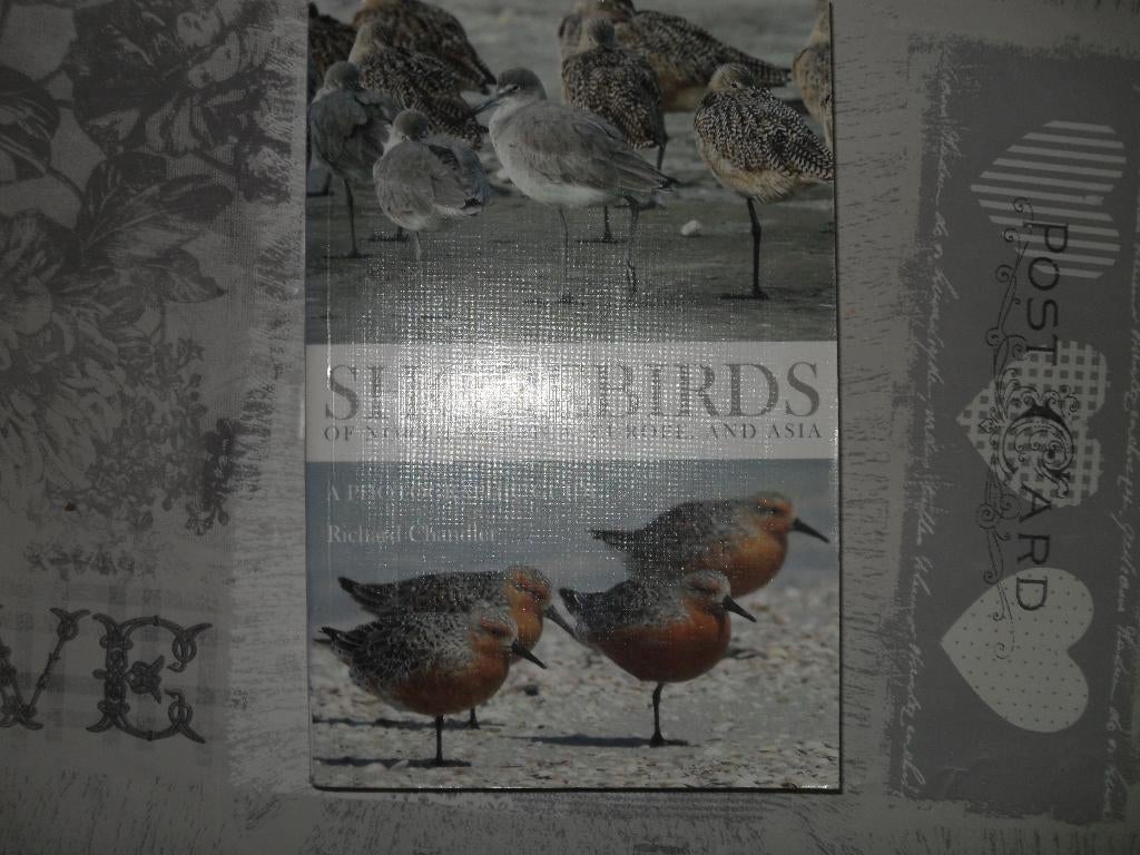 BOEK RICHARD CHANDLER-SHOREBIRDS., Gelezen, Ophalen of Verzenden, Los deel, Richard Chandler.