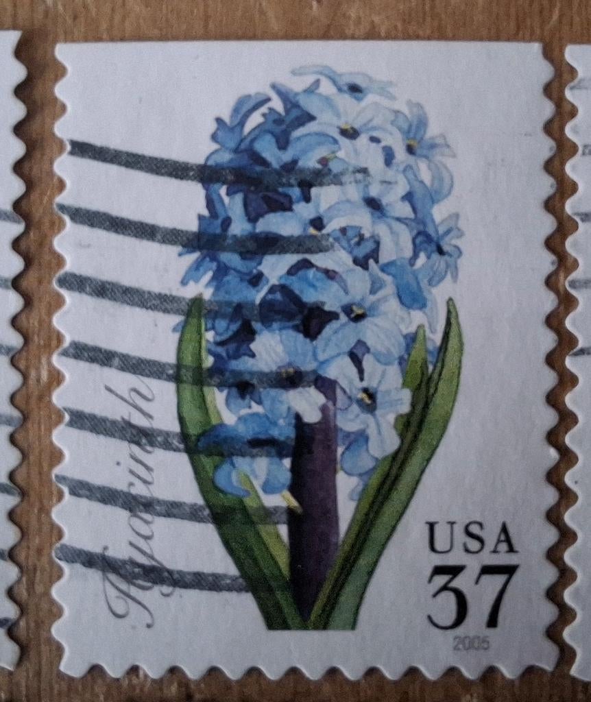 Usa 68 hyacint, Ophalen of Verzenden, Noord-Amerika