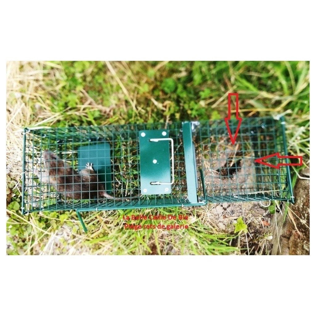 Ongediertebestrijding: slimme rattenval, Ophalen, Nieuw, Ongediertebestrijding