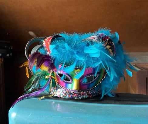 Carnvals hoed, Ophalen, Zo goed als nieuw, Hoed of Pruik, Carnaval