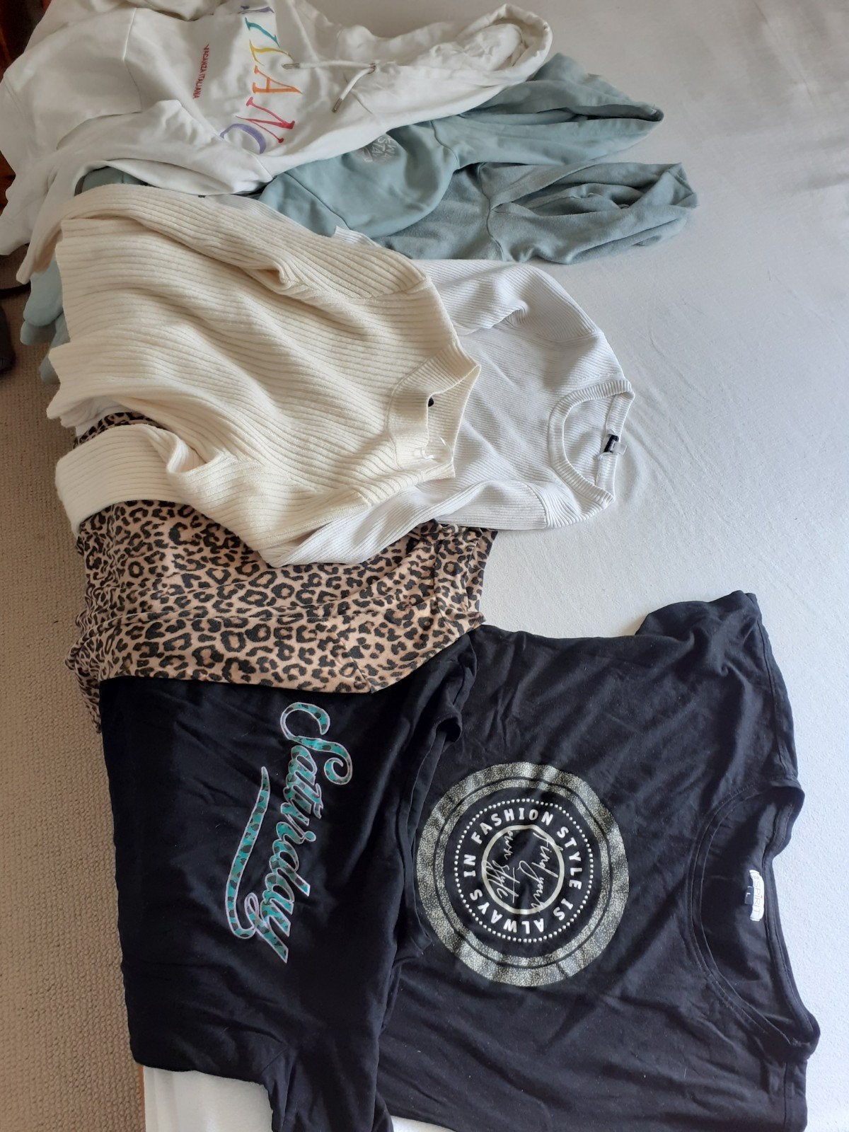 Kledingpakket: Truien, hoodies en shirts (Maat M), Kleding | Dames, Ophalen of Verzenden, Gedragen, Maat 38/40 (M)