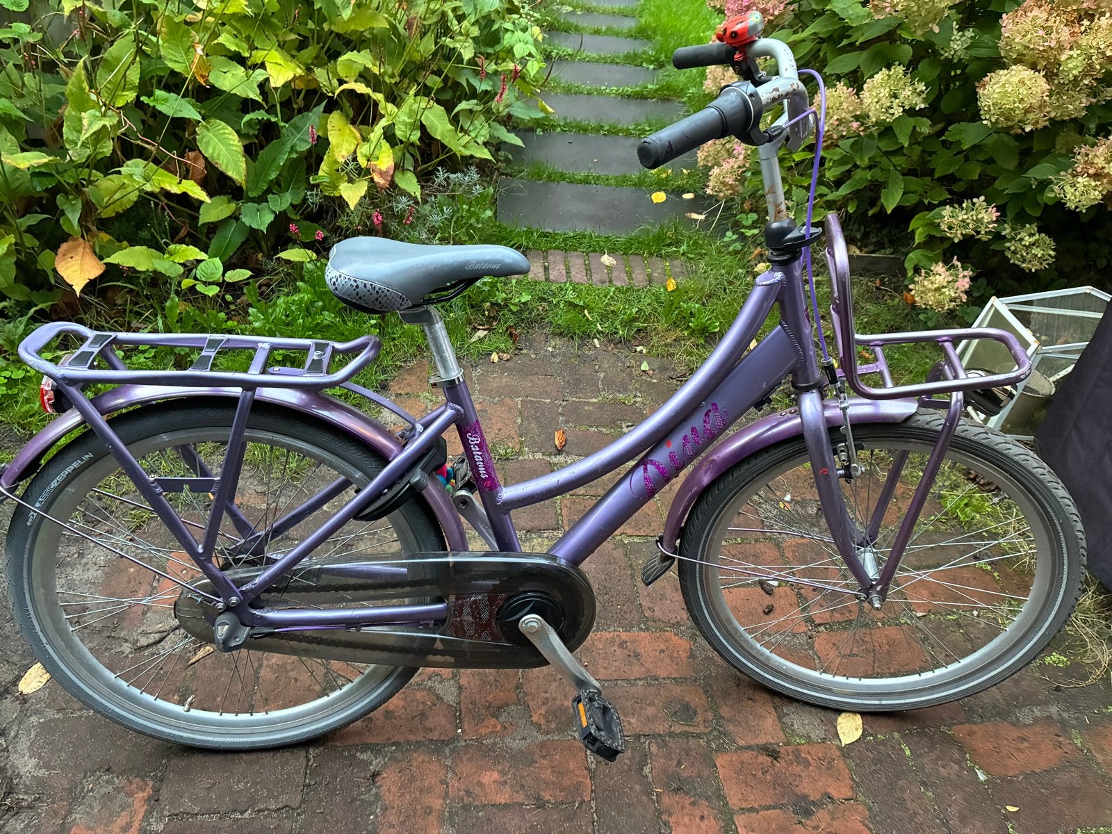 Batavus Diva 24 inch - Werkende verlichting en versnelling, Fietsen en Brommers, Terugtraprem, Versnellingen, Ophalen of Verzenden