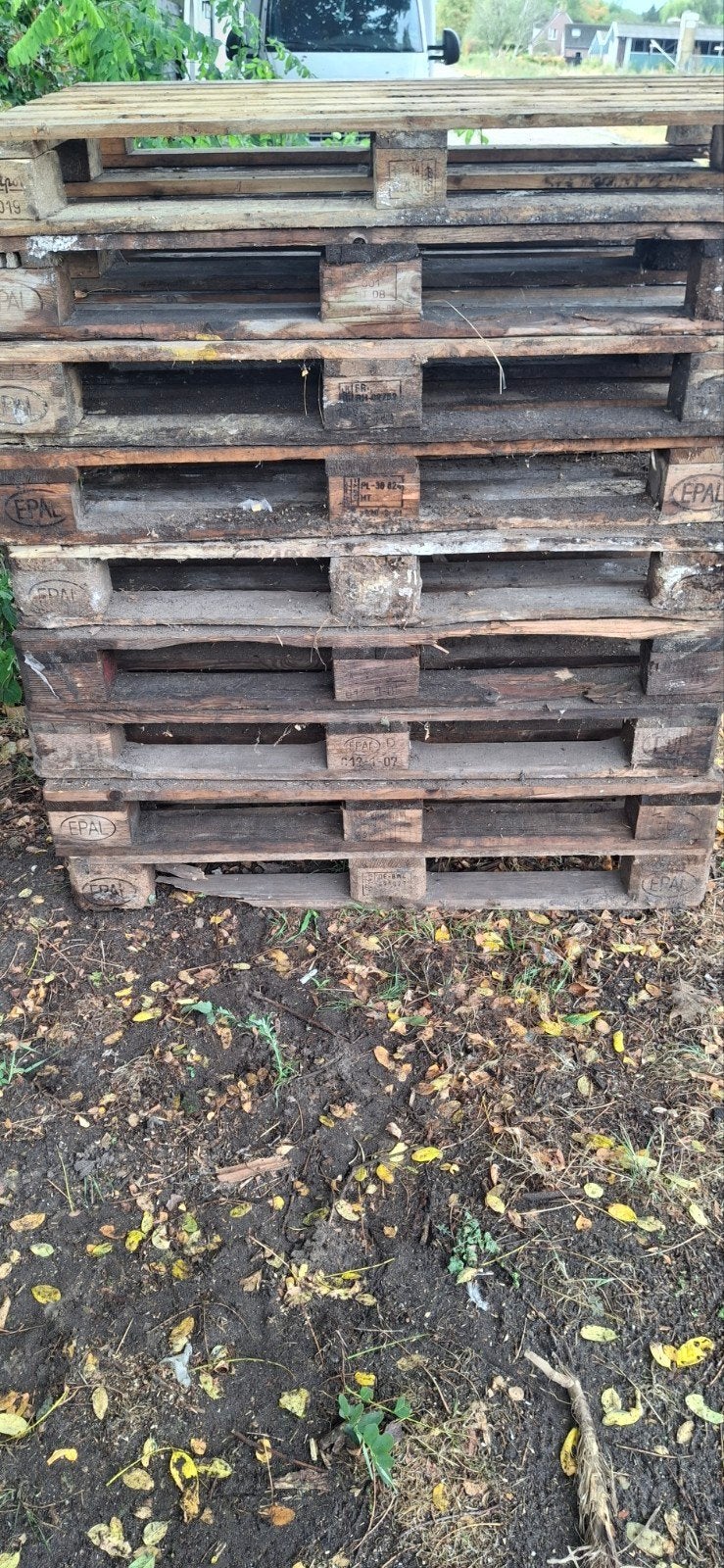 gratis pallets, Doe-het-zelf en Verbouw, Hout en Planken, Ophalen, Overige houtsoorten, Minder dan 200 cm, Pallet