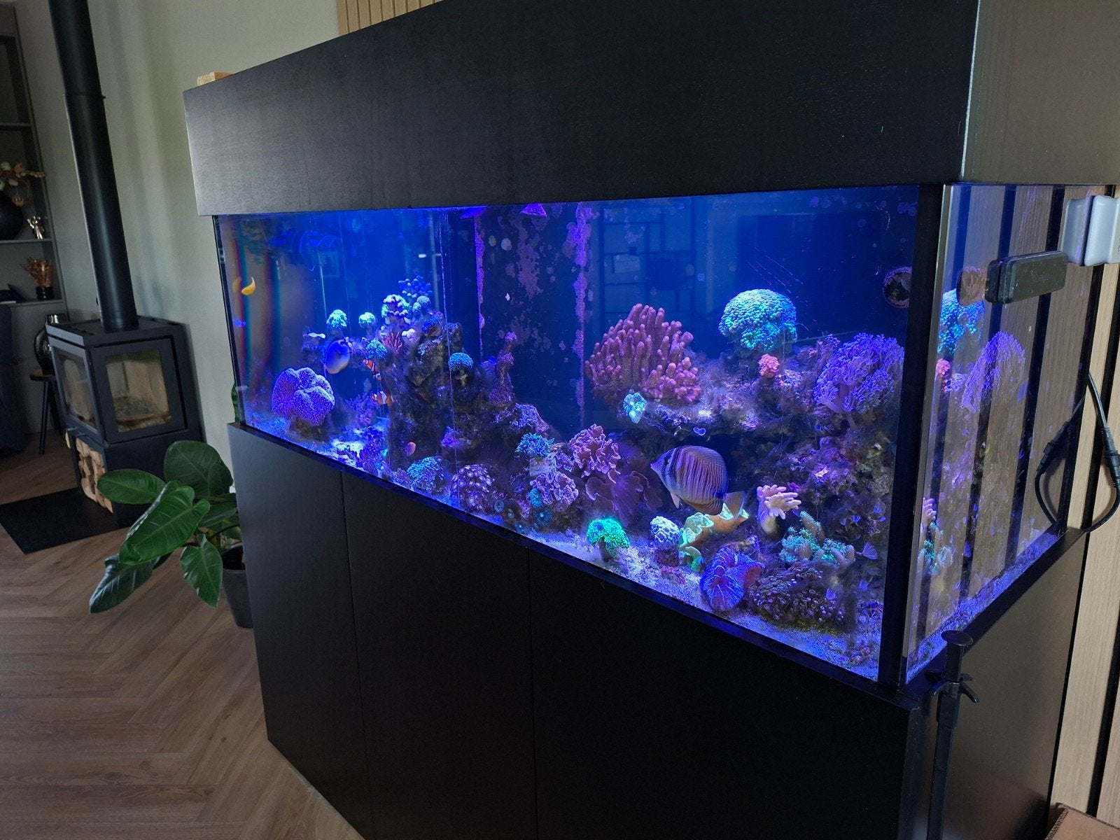 Zeeaquarium Aquaja 535 compleet, Dieren en Toebehoren, Vissen | Aquaria en Toebehoren, Ophalen of Verzenden, Gevuld zeewateraquarium