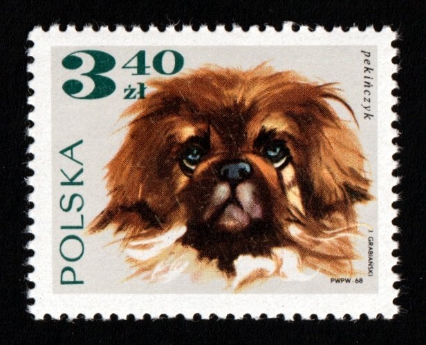 Polen, Hond, Mi. 1903 met plaatfout (streepje op z) postfris, Verzenden, Polen, Postfris