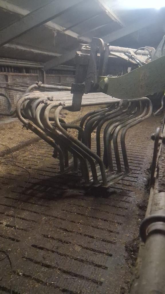 Ligboxen koeien, Weidegang