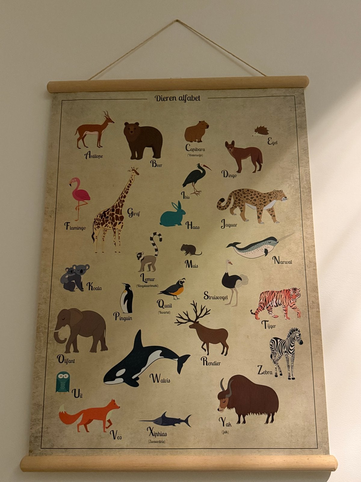 Dieren Alfabet en Alfabet wandposter  - Educatief, Meerkleurig, Ophalen of Verzenden, Zo goed als nieuw, Met ophangsysteem
