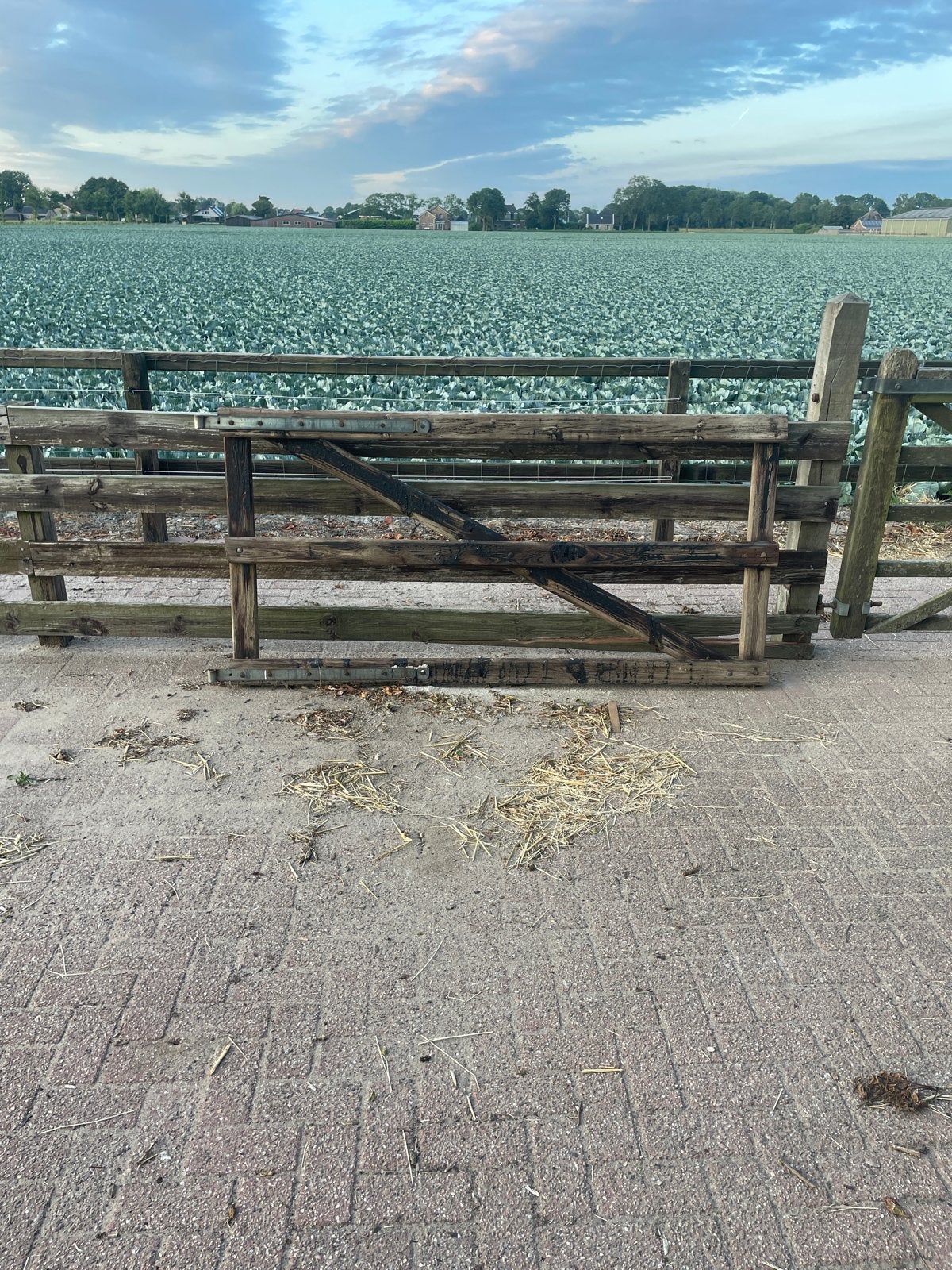Houten poort/hek voor tuin of erf, Ophalen, Met poort, Gebruikt, Tuinhek
