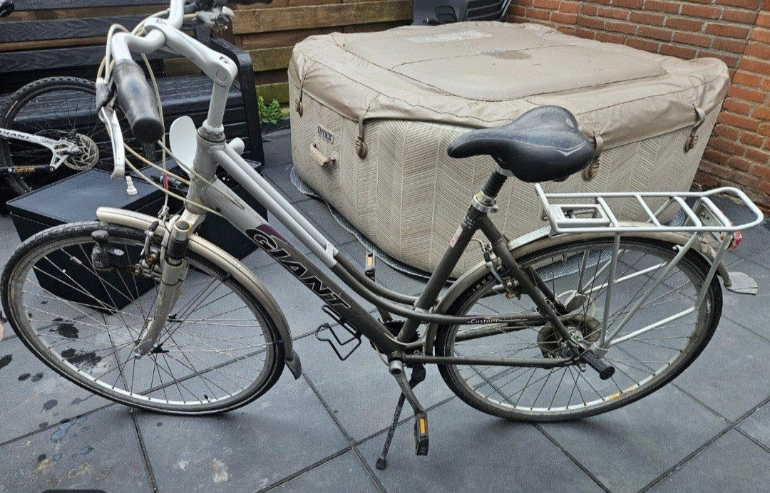 Leuke Giant damesfiets - Ideaal voor dagelijks gebruik!, Ophalen, Gebruikt, Velgrem, Versnellingen