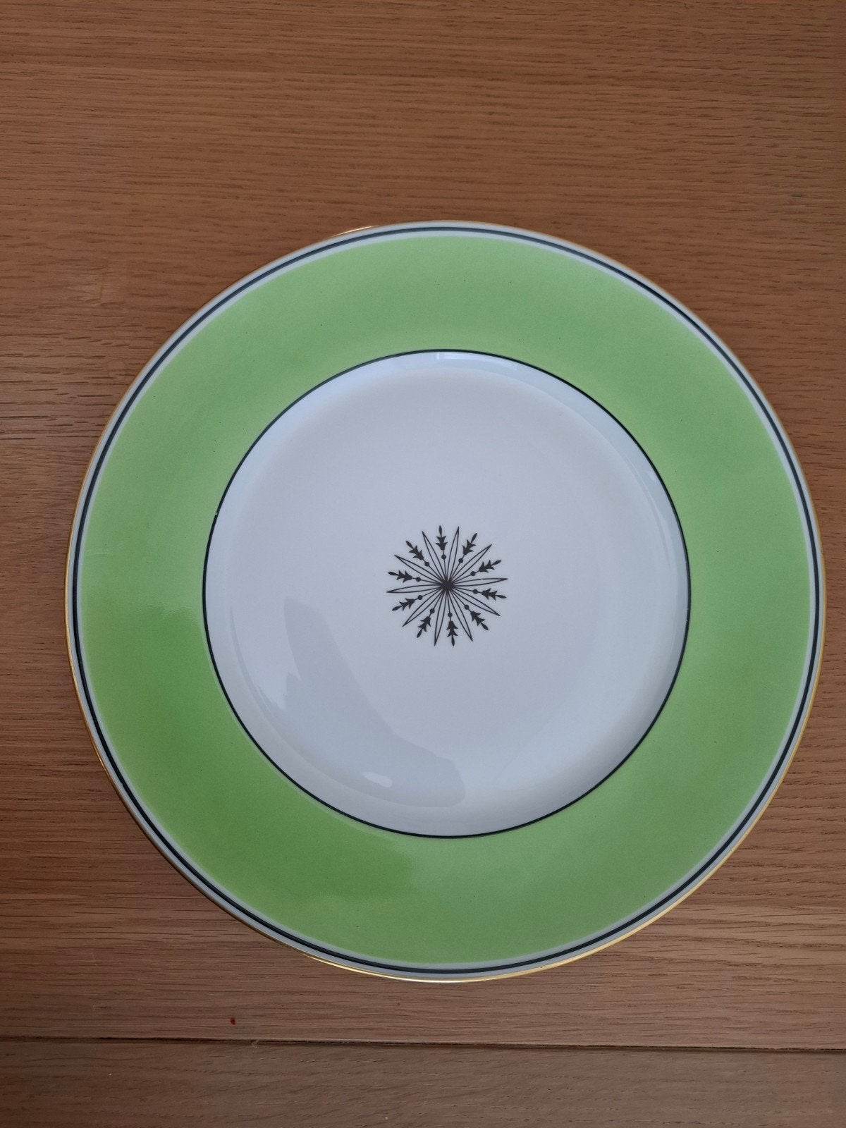 Diner bord van Limoges France Céralene. Groen. Ø 27 cm., Antiek en Kunst, Antiek | Porselein, Ophalen of Verzenden