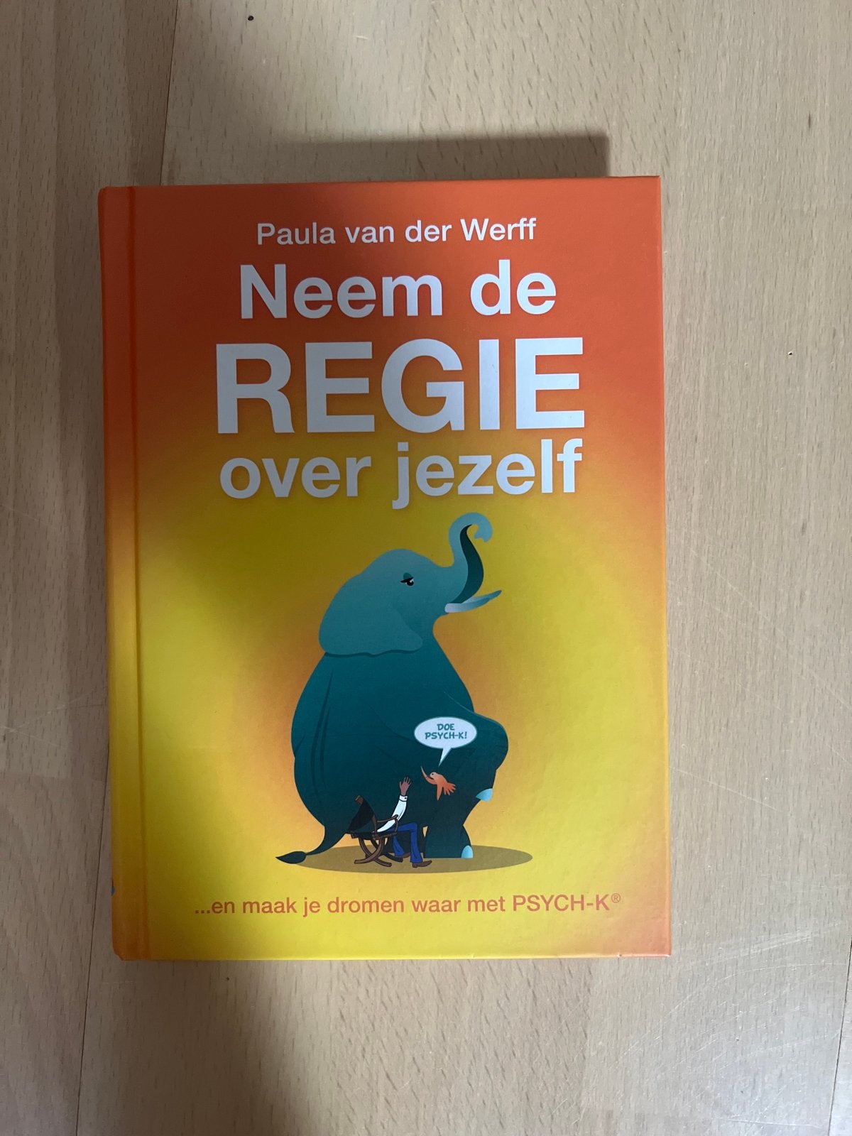 Neem de REGIE over jezelf - Paula van der Werff, Ophalen, Zo goed als nieuw