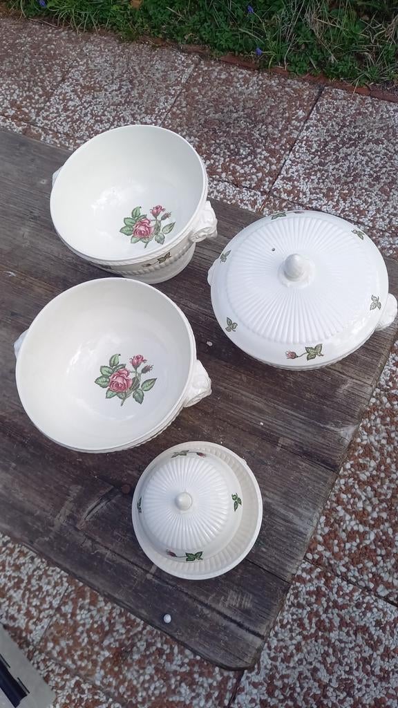 Wedgwood Moss Rose 3 schalen,botervloot rnd.€25.= per stuk., Huis en Inrichting, Keuken | Servies, Ophalen of Verzenden, Porselein
