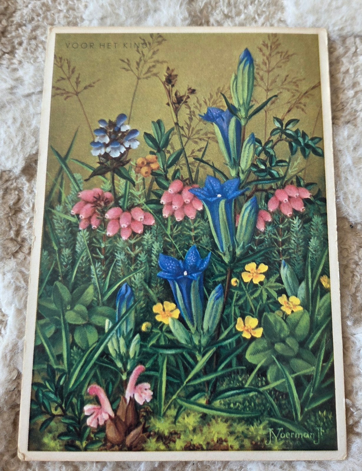 Oude ansichtkaart 'Voor het Kind' - Bloemen, Verzamelen, Ansichtkaarten | Themakaarten, Verzenden, 1940 tot 1960, Gelopen, Overige thema's