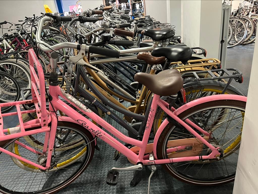 Dames fietsen heren fietsen oma fietsen transportfietsen