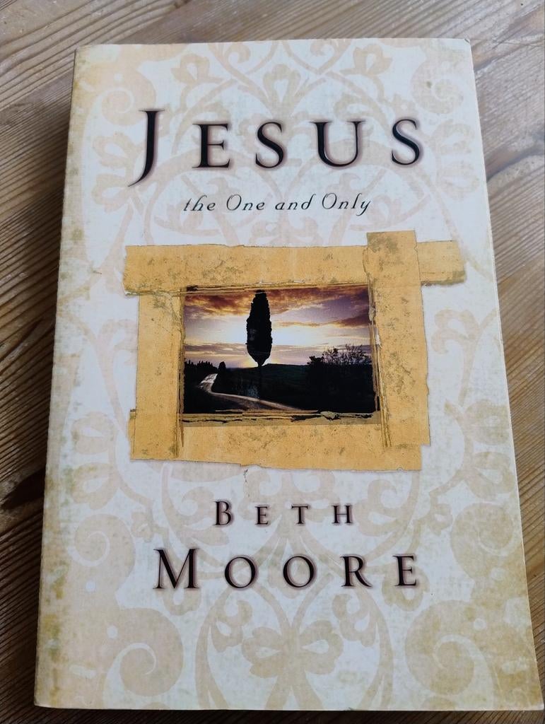 Jesus the One and Only, Boeken, Ophalen of Verzenden