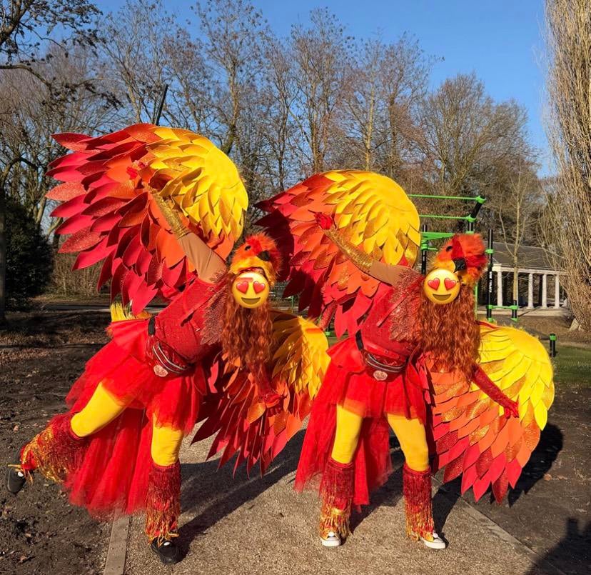 SUPER origineel Feniks kostuum, Ophalen, Carnaval, Maat 42/44 (L), Kleding