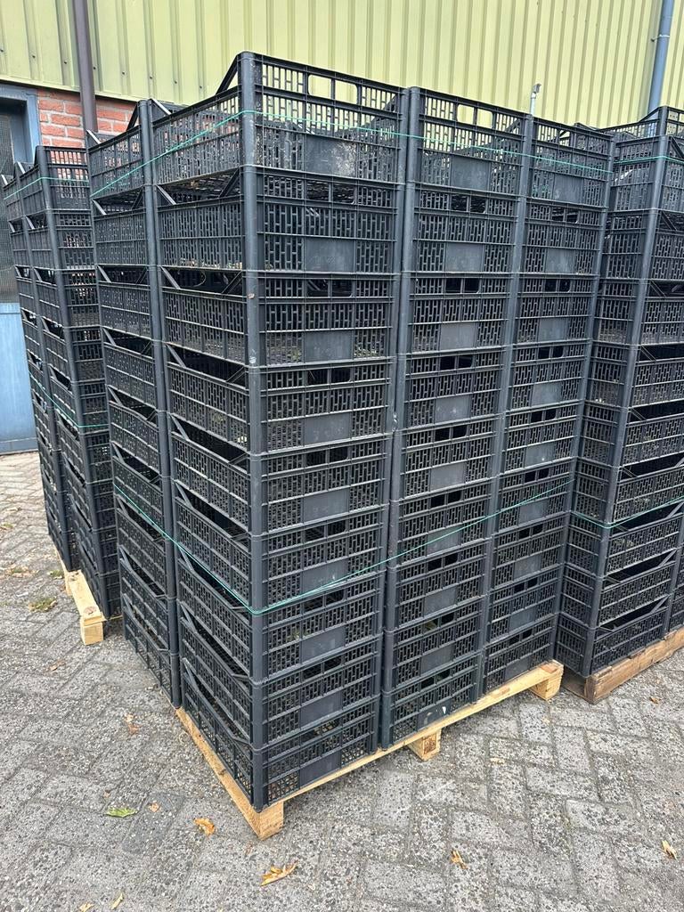 Kunststof kratten l 50x40x20 l 100 stuks l netjes l
