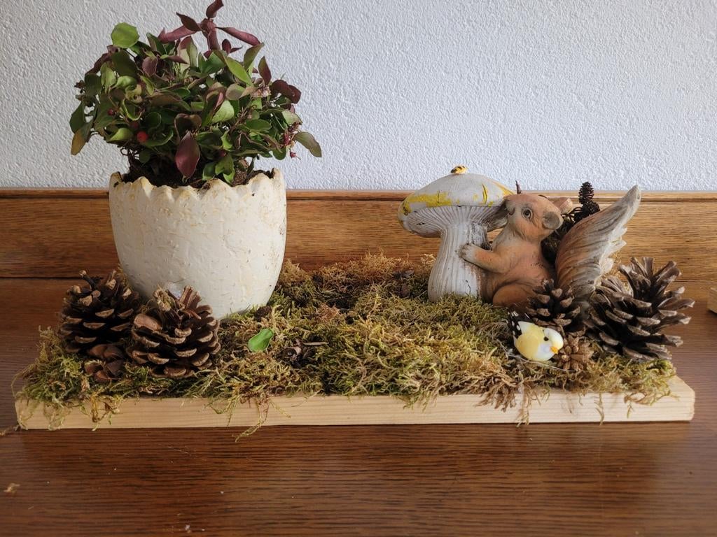 Eekhoorn op houten plankje met plant., Hobby en Vrije tijd, Overige Hobby en Vrije tijd, Zo goed als nieuw, Ophalen of Verzenden