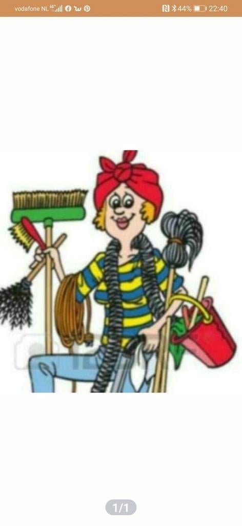 Schoonmaak