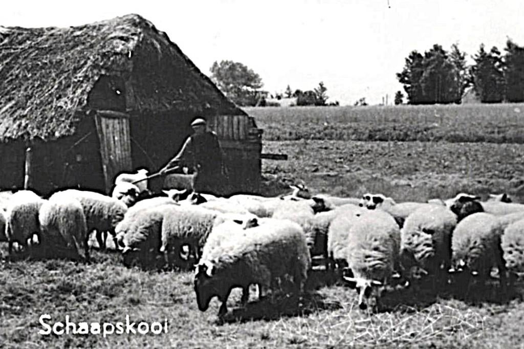 991209 Putten 1966 Gld Gelopen met postzegel, Ophalen of Verzenden, 1960 tot 1980, Gelopen, Gelderland