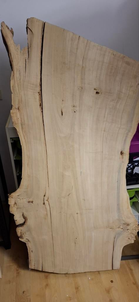 Tafelblad Esdoorn (?) - Onbewerkt, 25 tot 50 mm, Nieuw, Ophalen of Verzenden, Plank