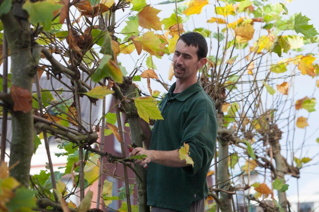 Tuinman / hovenier voor uw tuin ..., Tuinontwerp