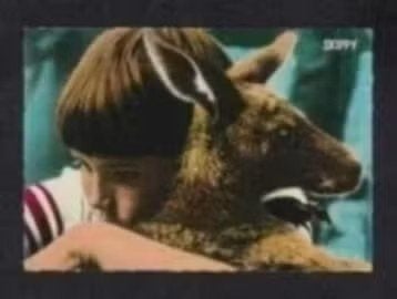 Skippy de Boskangoeroe Televisieprogramma (1), Verzamelen, Ophalen of Verzenden, 1960 tot 1980, Gelopen, Kinderen