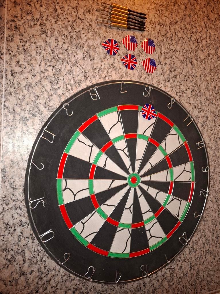 Dartbord met pijltjes en opbergdoos, Ophalen of Verzenden