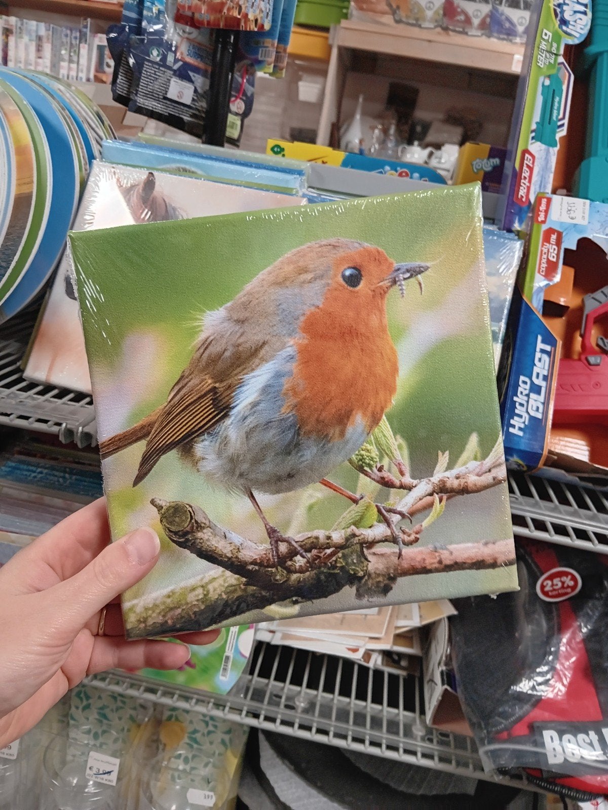 Canvas schilderij Roodborstje op tak, Minder dan 50 cm, Onbekend, Nieuw, Ophalen of Verzenden